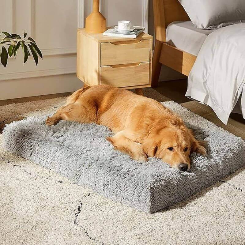 Cama Ortopédica Para Perros MrFluffyFriend