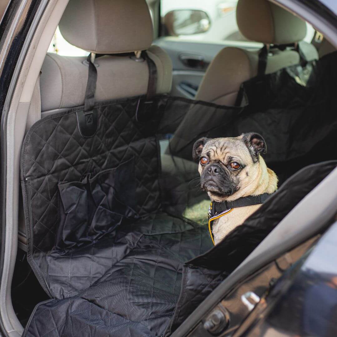 MrFluffyFriend - Funda Para Asiento De Coche Para Perros