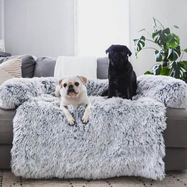 Mantén los muebles limpios y reduce la ansiedad de tu perro