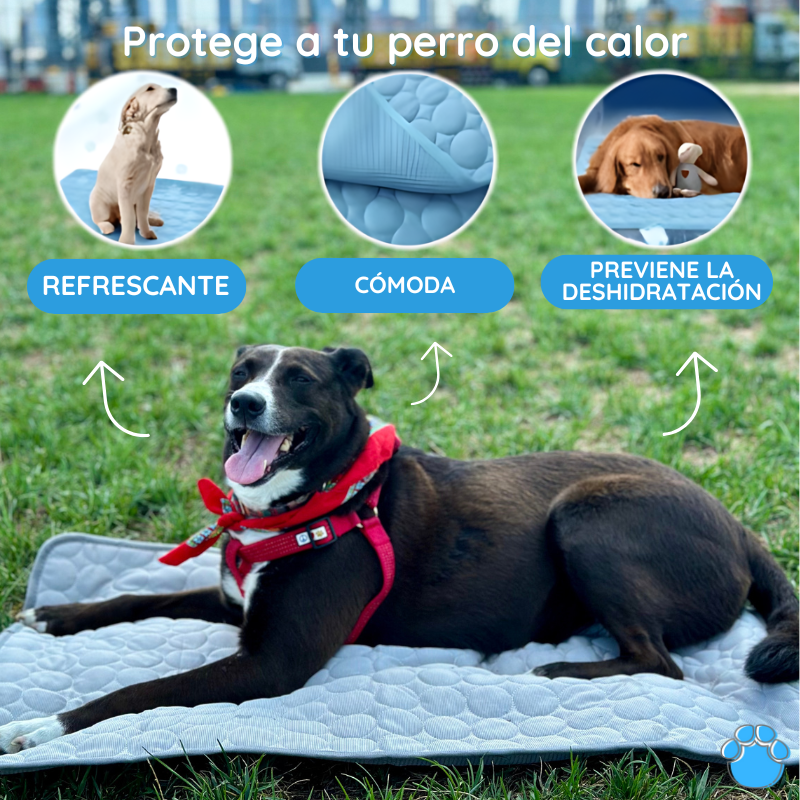 MrFluffyFriend - La Mejor Alfombrilla Refrescante Para Mascotas