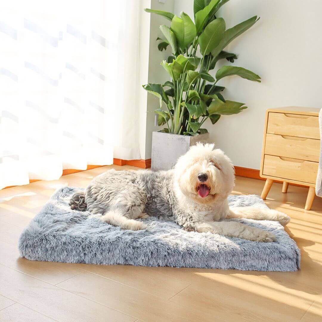 MrFluffyFriend - Almohada Ortopédica Para Perros De Razas Medianas